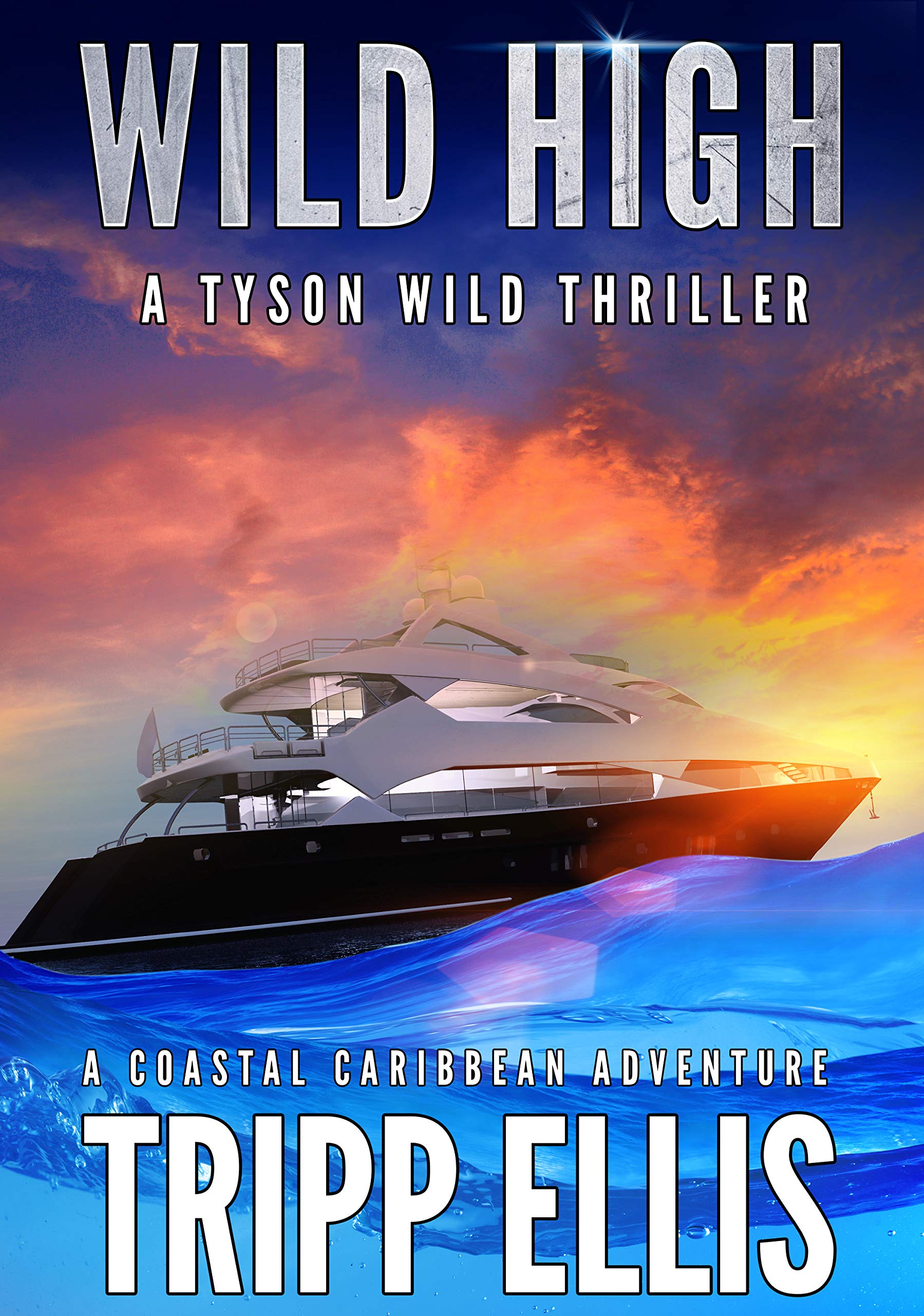 Wild High (Tyson Wild Thriller, #17)