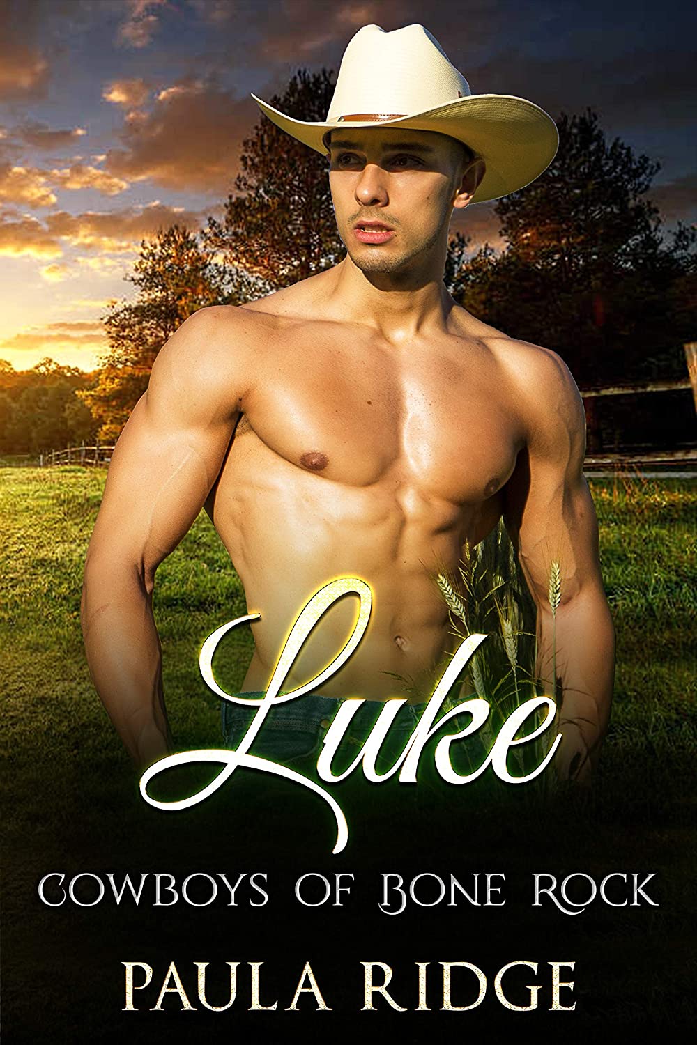 Luke (Cowboys of Bone Rock Book 2)