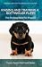 Raising And Training A Rott...