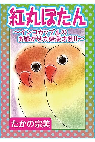 紅丸ぼたん インコカップルのお騒がせ夫婦漫才劇 By たかの宗美