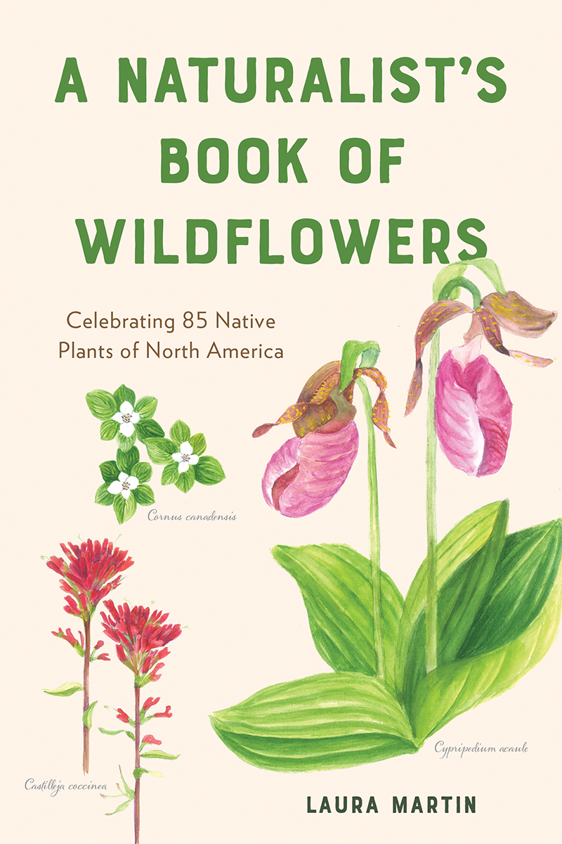 A Naturalist's Book of Wildflowers: Celebrating 85 Native Plants in North America (Paperback)