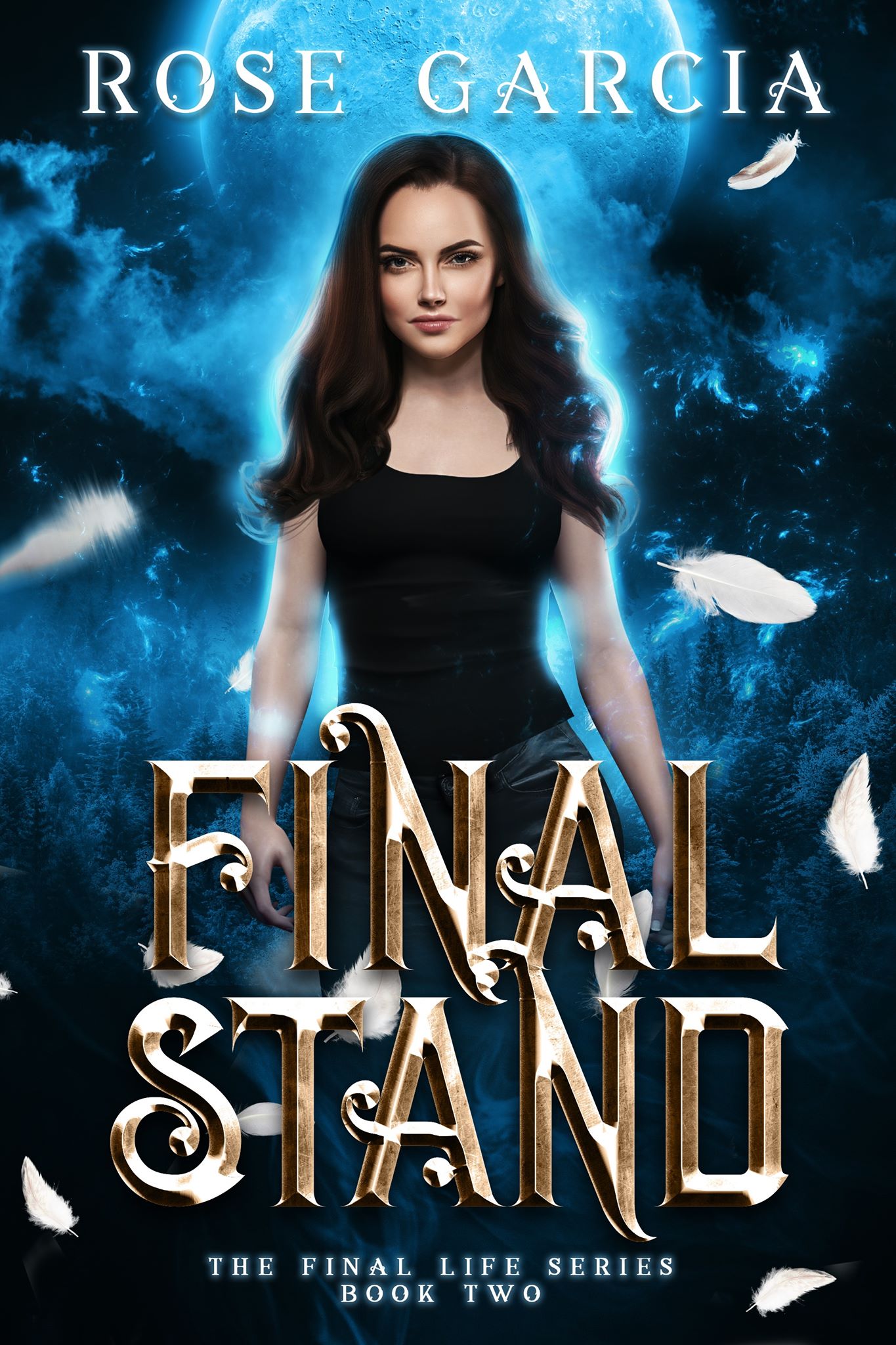 Final Stand (The Final Life #2)