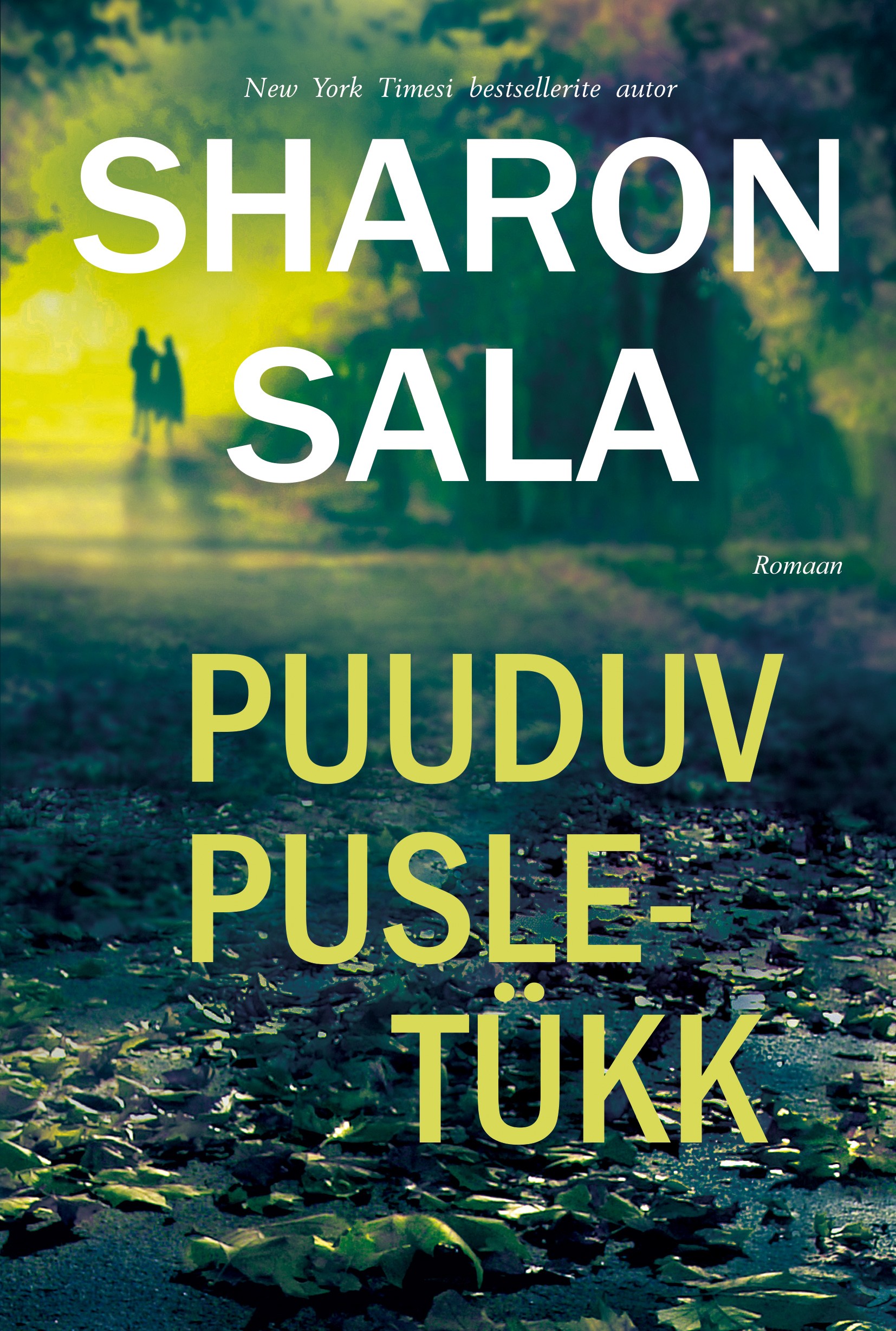 Puuduv pusletükk