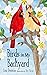 Birds in My Backyard: Charming Introduction to Birds for Babies, Toddlers, and Children