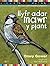Llyfr Adar Mawr y Plant by Onwy Gower