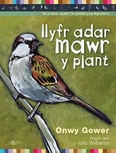 Llyfr Adar Mawr y Plant (Welsh Edition)