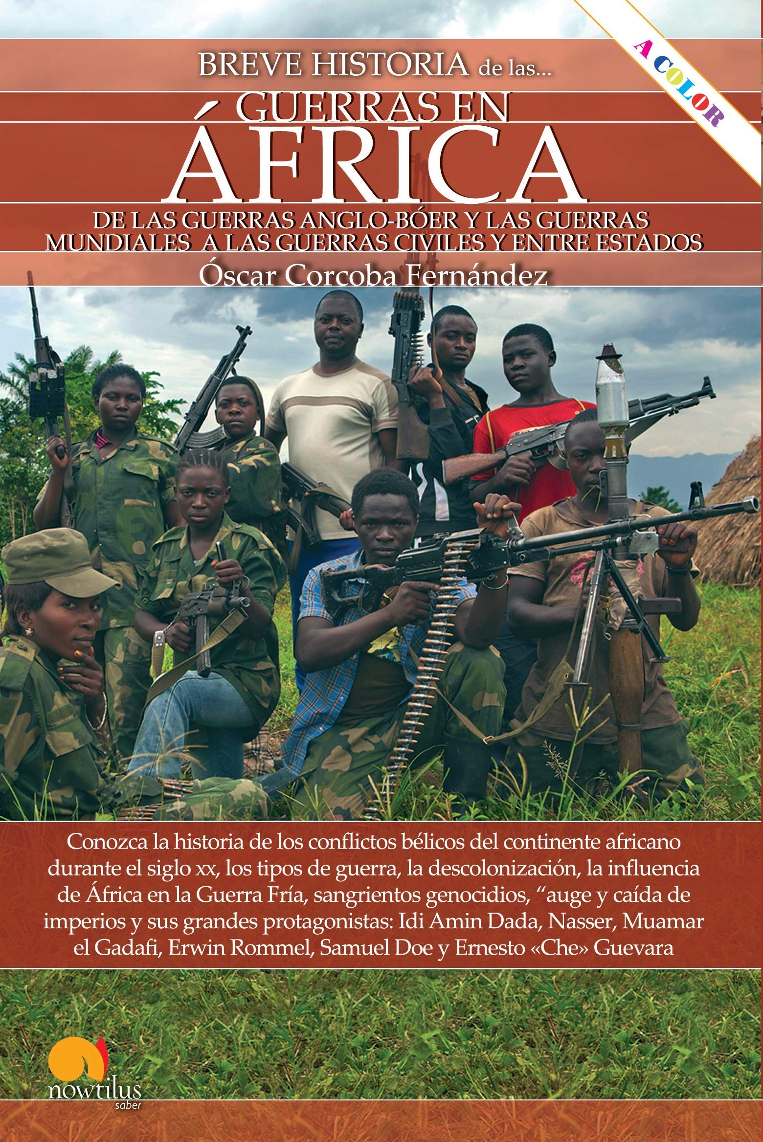 Breve historia de las guerras en África (Spanish Edition)