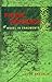 Picnic Grounds: A Novel in Fragments
