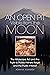 An Open Pit Visible from the Moon: The Wilderness Act and the Fight to Protect Miners Ridge and the Public Interest (The Environment in Modern North America Book 2)