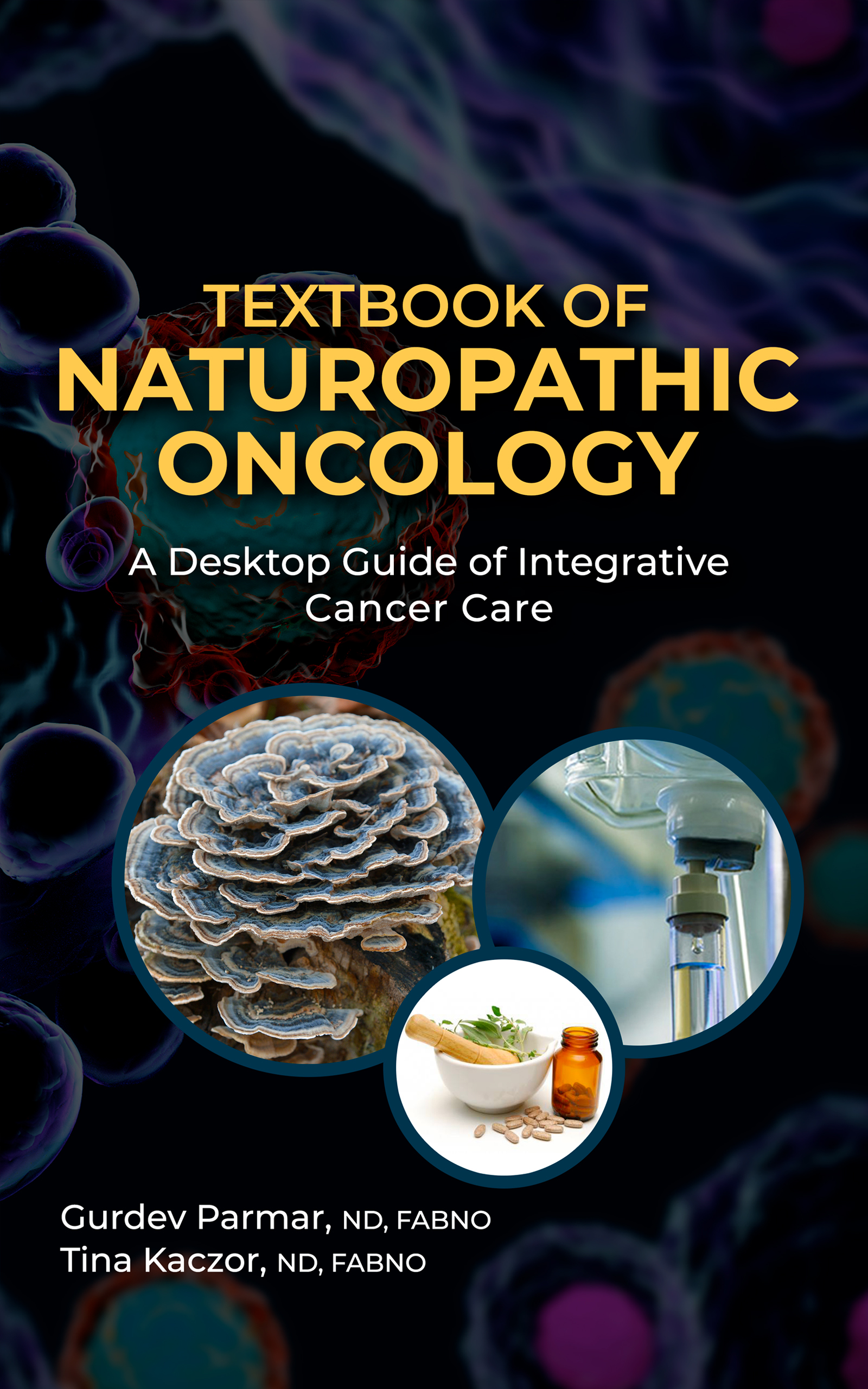 Textbook of Naturopathic Oncology (Hardcover)