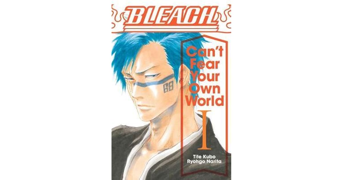 Bleach Can T Fear Your Own World Vol 1 By Tite Kubo