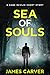 Sea of Souls: A Gabe Devlin...