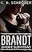 BRANDT - Amor e Submissão (Portuguese Edition)