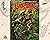 Tarzan of the Apes: Edgar Rice Burroughs Authorized Library (Volume 1)