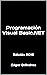 Programación Visual Basic.NET: Edición 2019 (Spanish Edition)