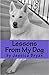 Lessons From My Dog: A prim...