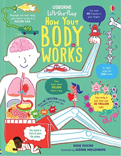 How Your Body Works (Usborne Lift-the-Flap)