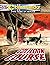Commando #4567: Collision C...