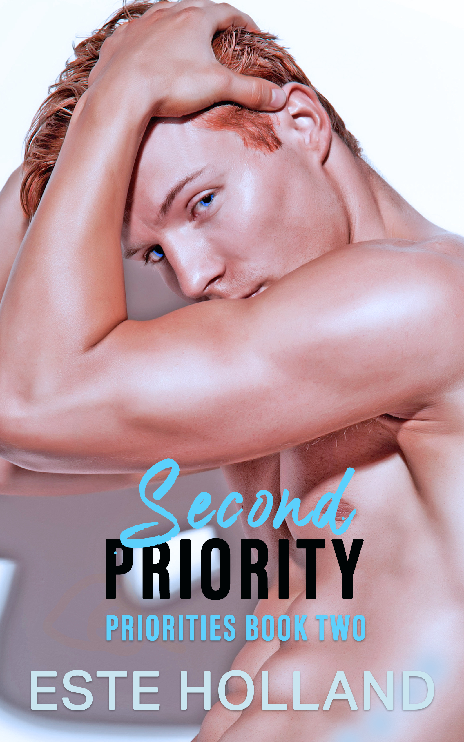Second Priority (Priorities #2)