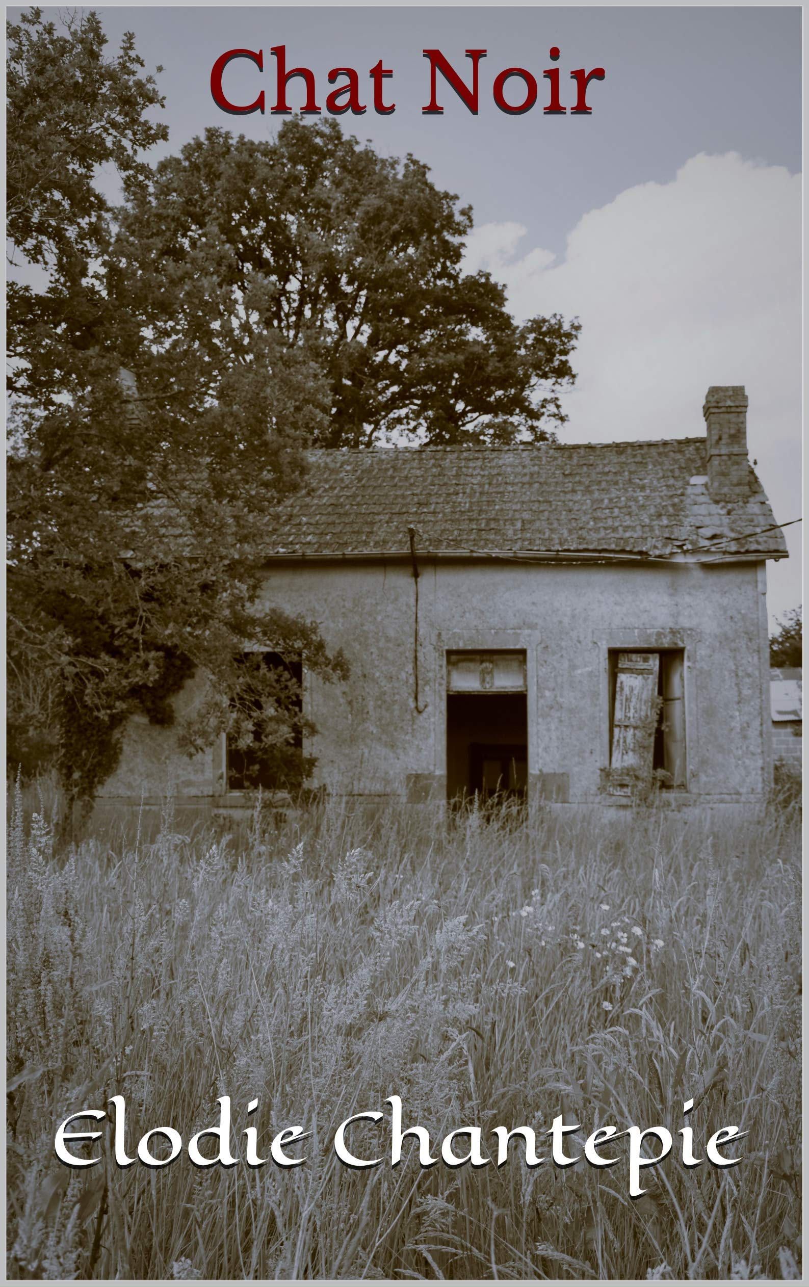 Chat Noir: Tome 1 (French Edition)