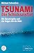 Tsunami - Die Schicksalsflut. Die Katastrophe und die Folgen für die Welt