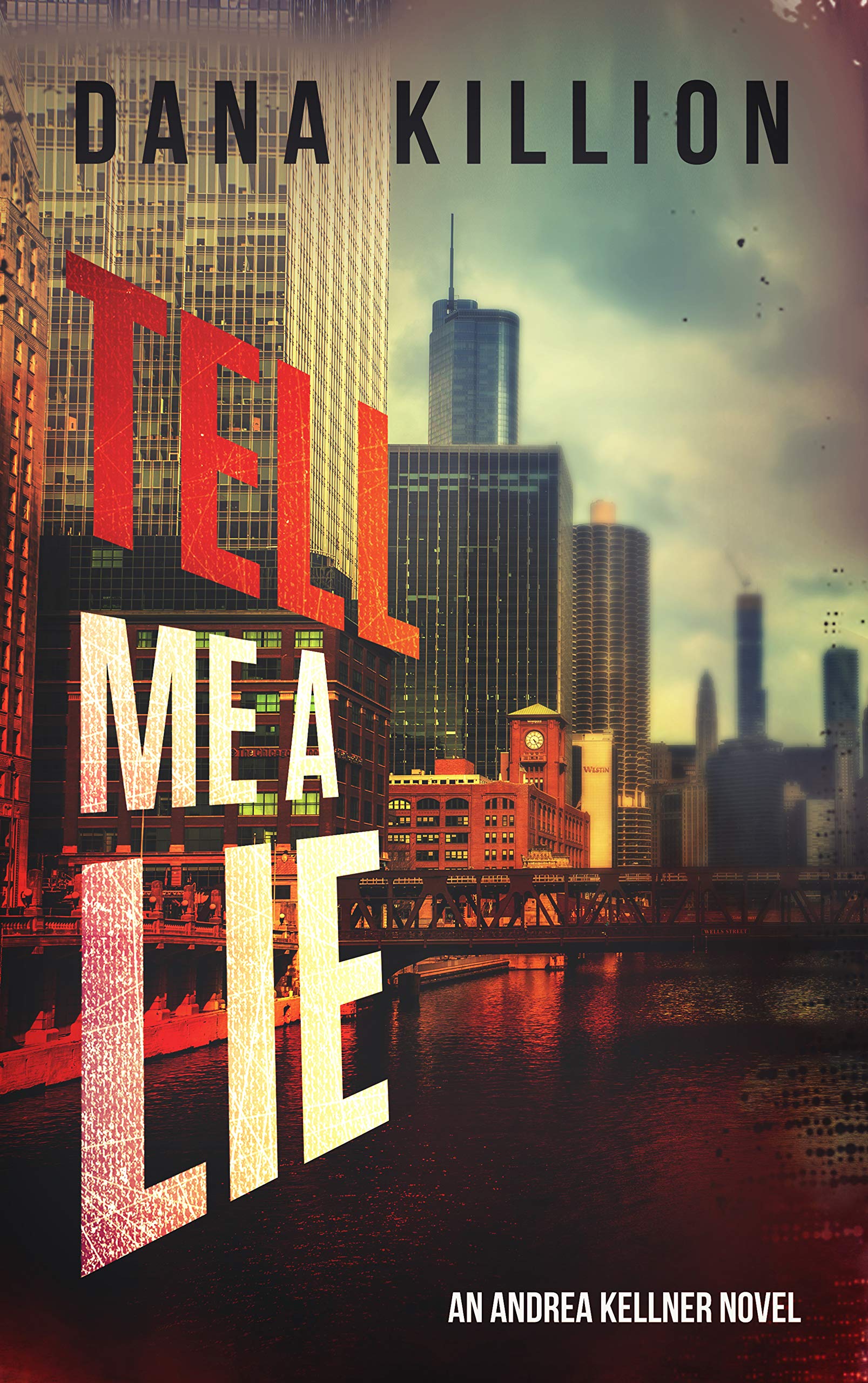 Tell Me a Lie (Andrea Kellner Mystery Book 4)