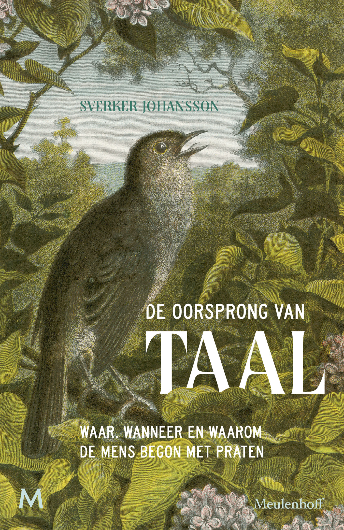 De oorsprong van taal. Waar, wanneer en waarom begon de mens met praten