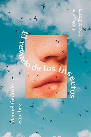 El revuelo de los insectos (Paperback)