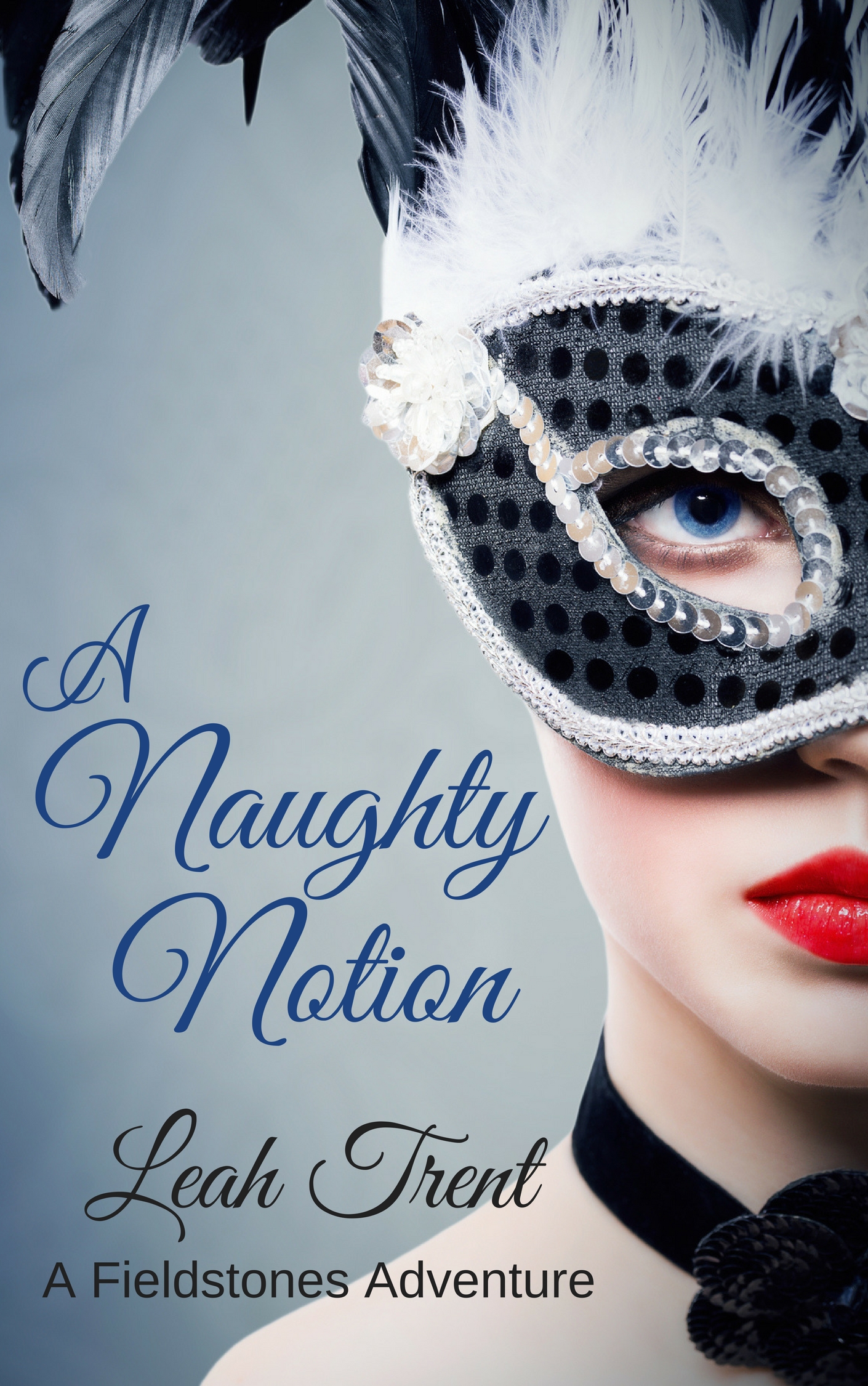 A Naughty Notion (Fieldstones Adventures #2)