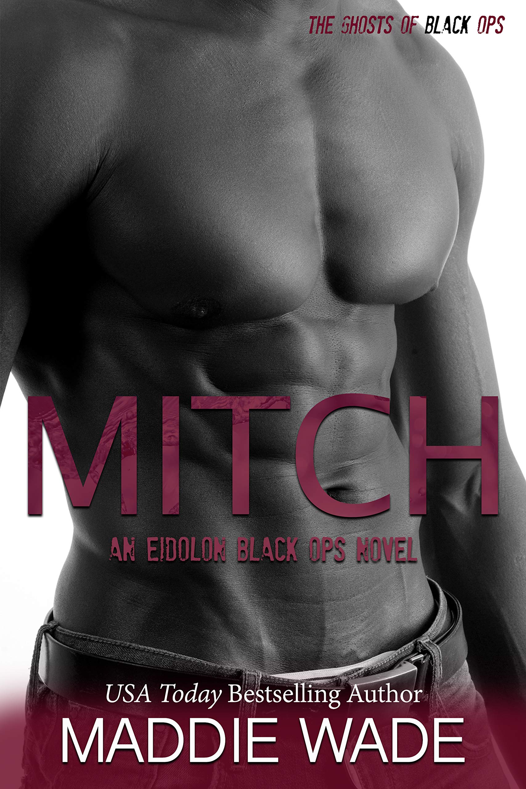 Mitch (Eidolon Black Ops #5)