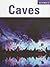 Caves (Biomes)