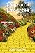 Pilgrim's Progress (Illustrated): Updated, Modern English. More Than 100 Illustrations. (Bunyan Updated Classics Book 1, Yellow Brick Road Cover)