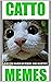 Memes: Awesome Kitty Memes ...