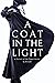 A coat in the light (A port...