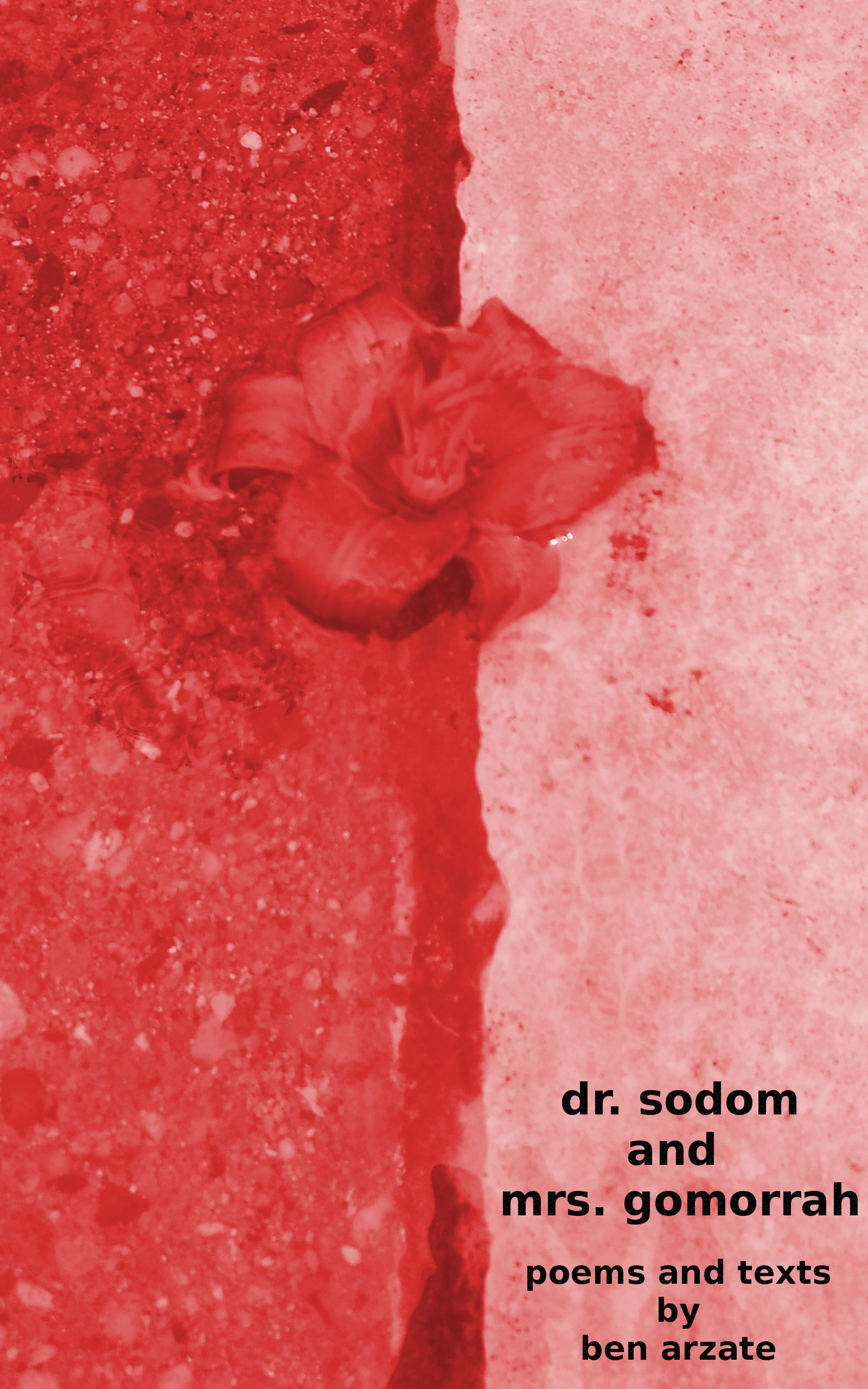 dr. sodom and mrs. gomorrah: poems and texts