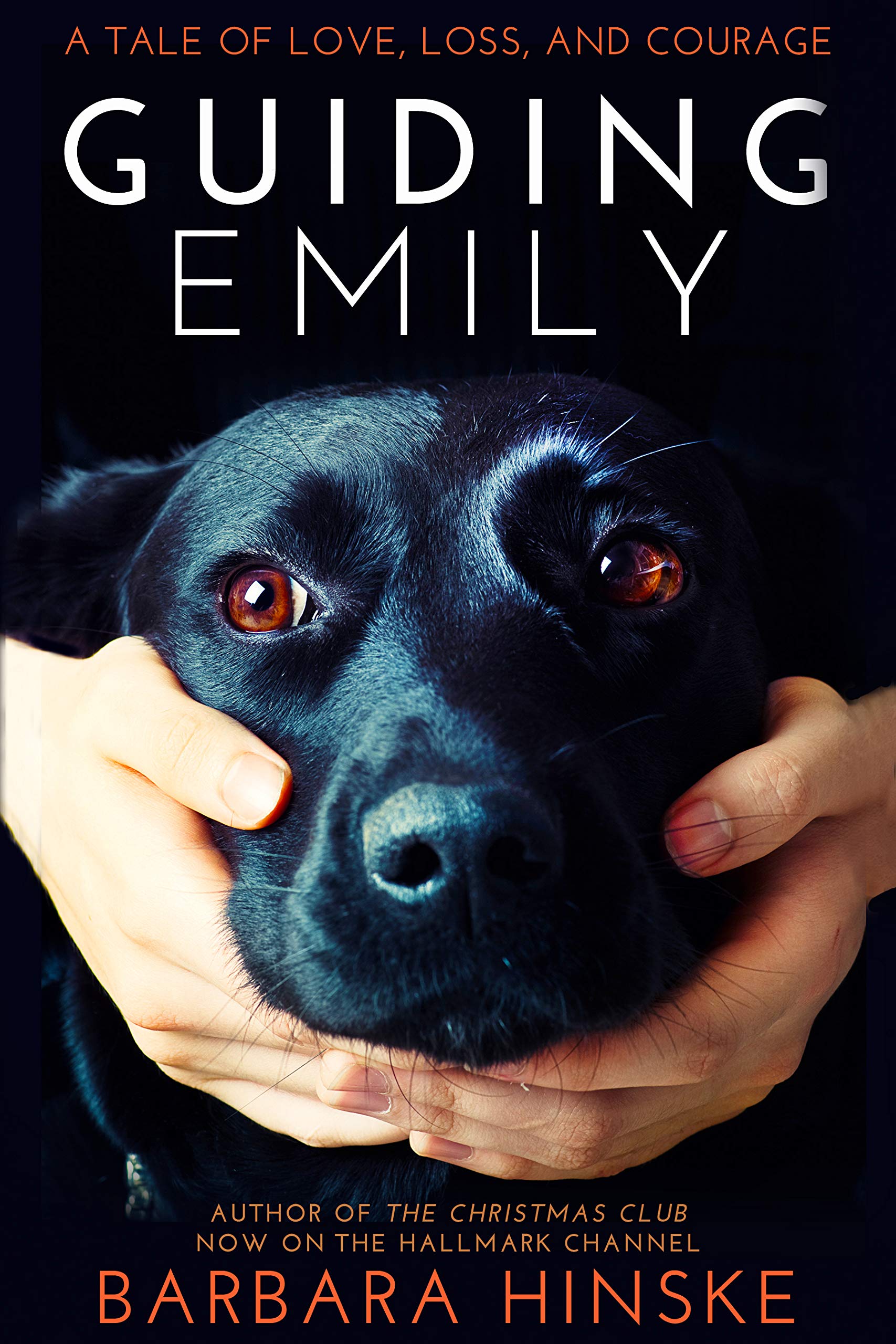 Guiding Emily: A Tale of Love, Loss, and Courage (Guiding Emily, #1)