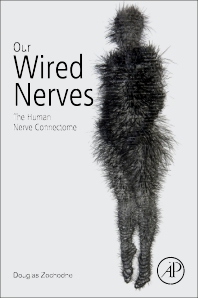 Our Wired Nerves: The Human Nerve Connectome