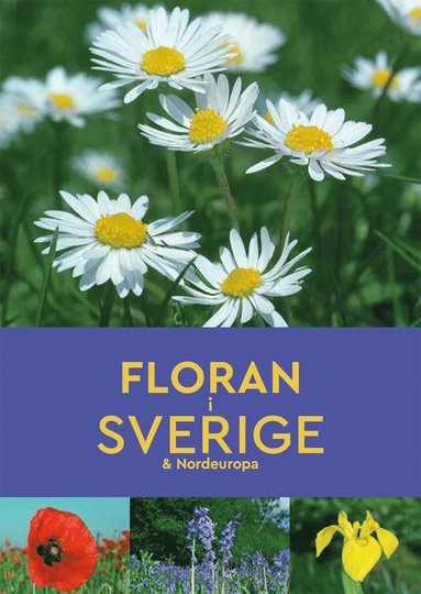 Floran i Sverige & Nordeuropa (Paperback)