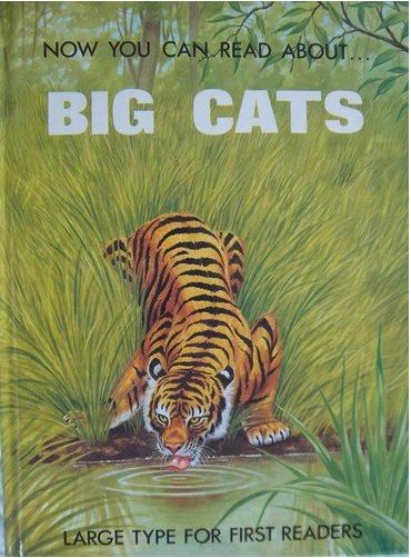 Now you can read about...Big Cats