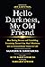 Hello Darkness, My Old Friend by Sanford D. Greenberg