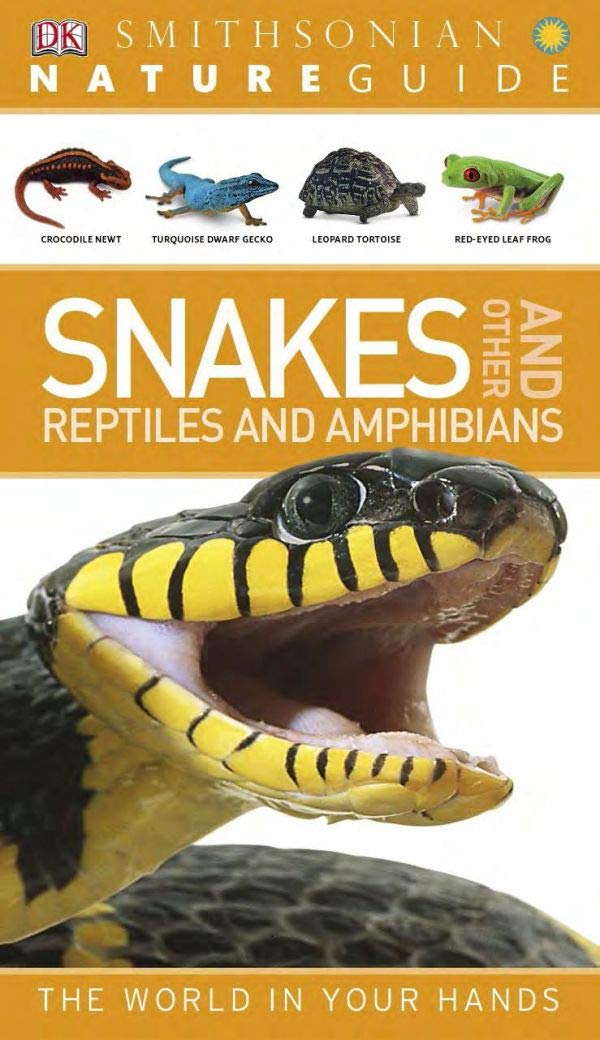 Snakes and Other Reptiles and Amphibians : Nature Guide (Kindle Edition)