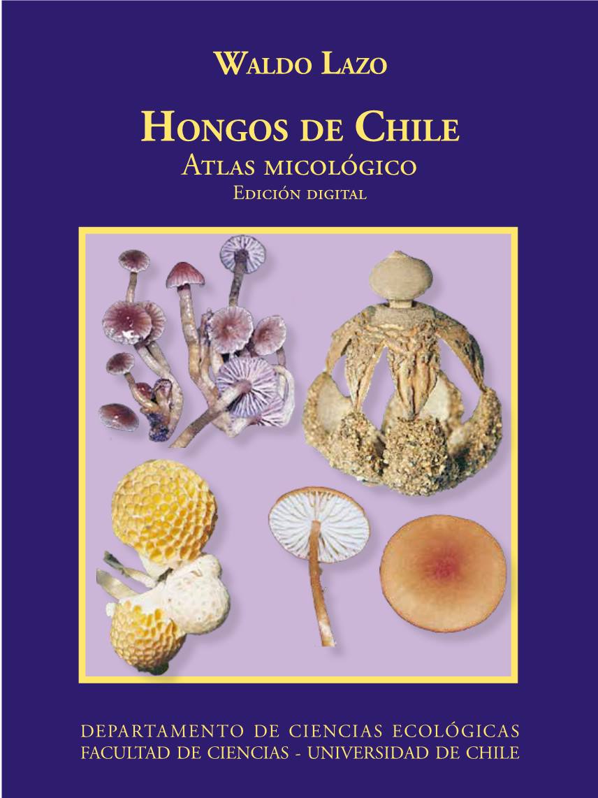 Hongos de Chile Atlas Micológico