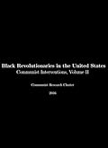 Black Revolutionaries in the United States