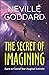 The Secret of Imagining