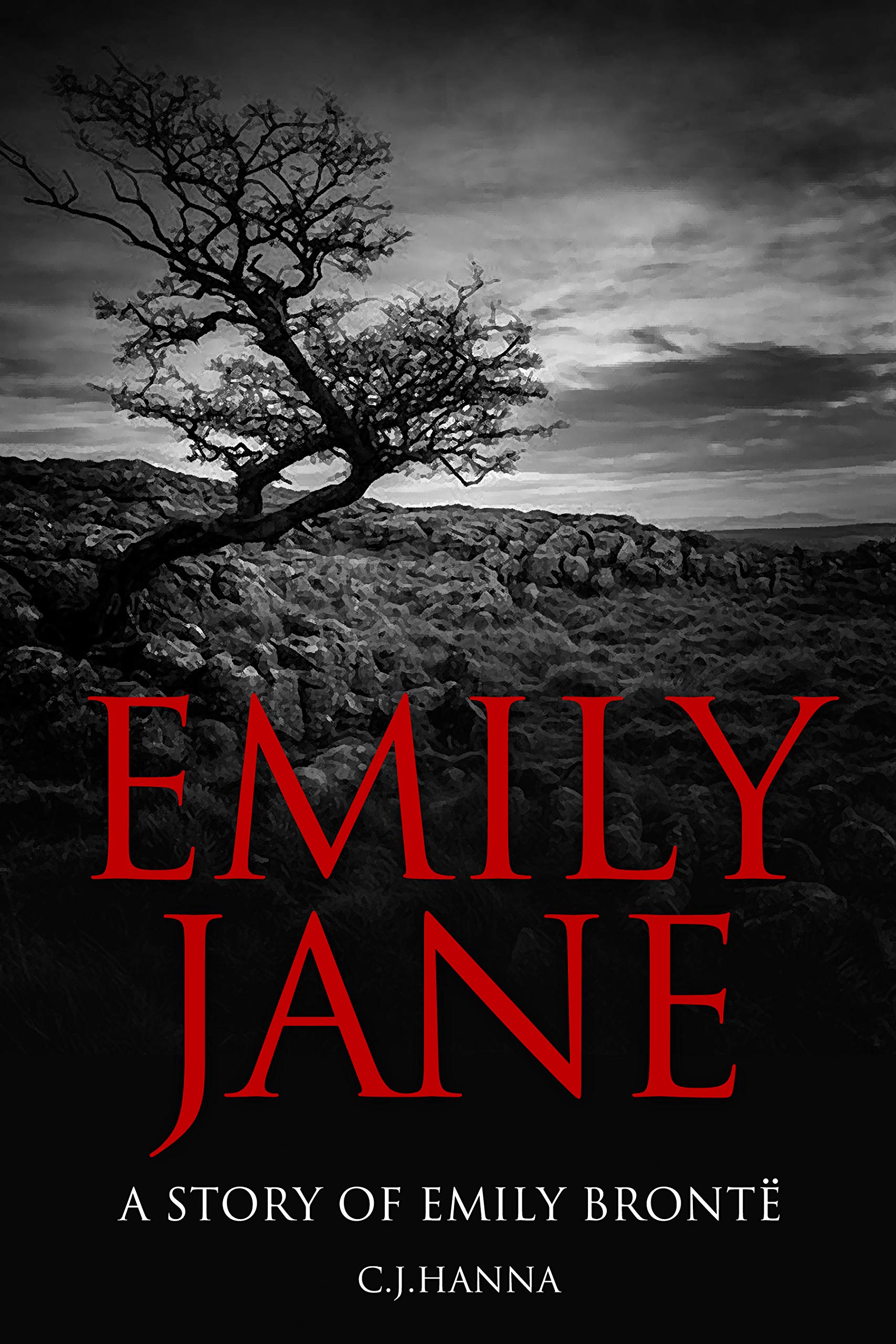 Emily Jane: A Story of Emily Brontë (Kindle Edition)