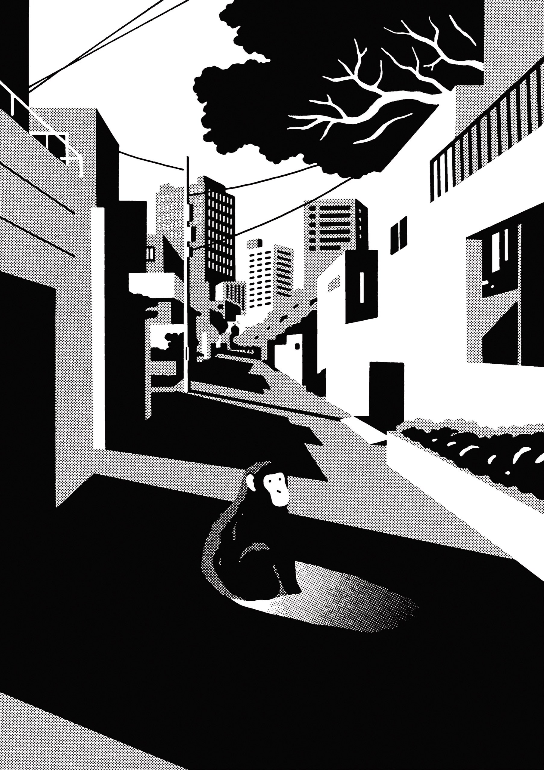 Confessions of a Shinagawa Monkey (ebook)