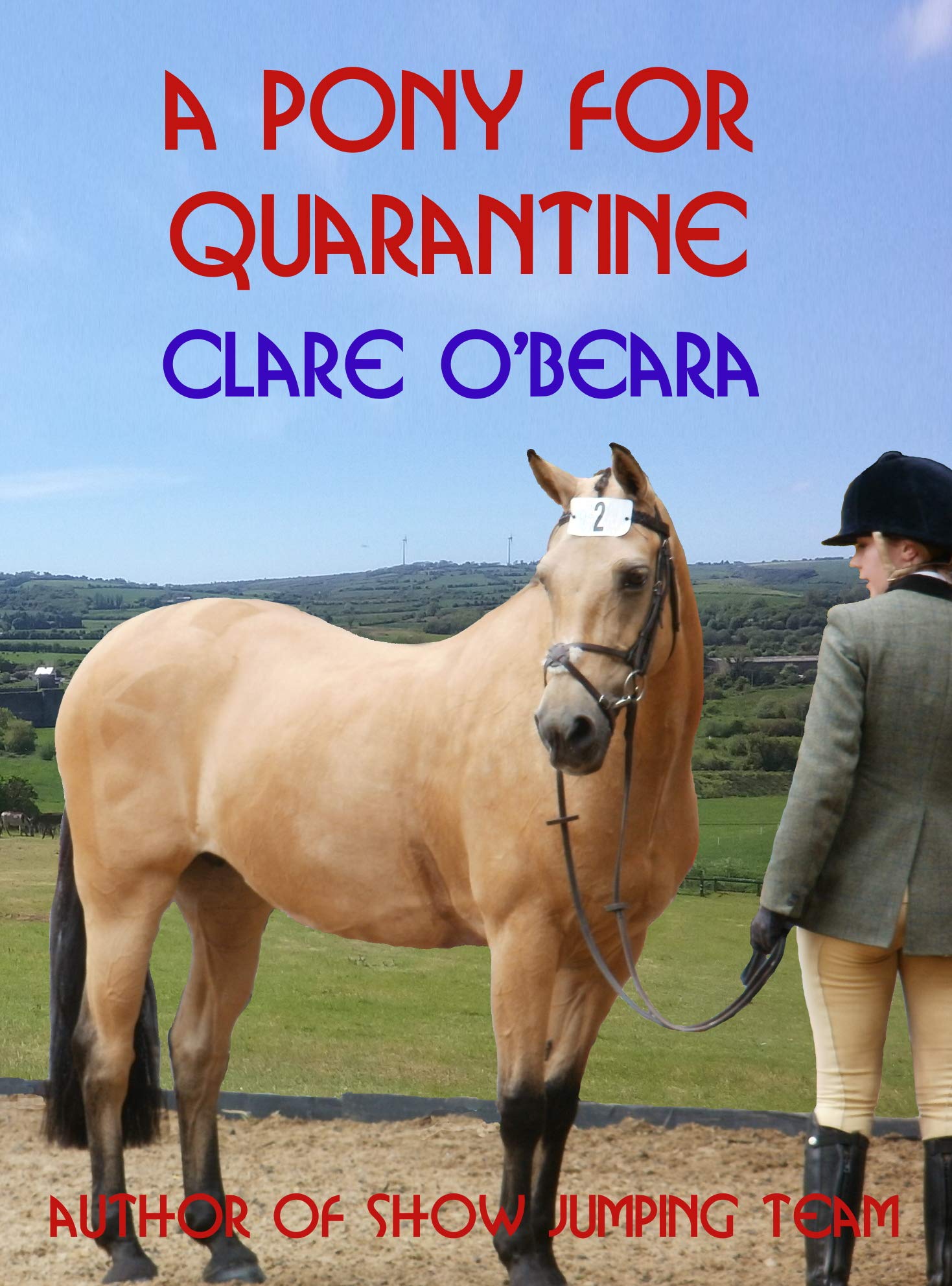 A Pony for Quarantine (Irish Lockdown #1)