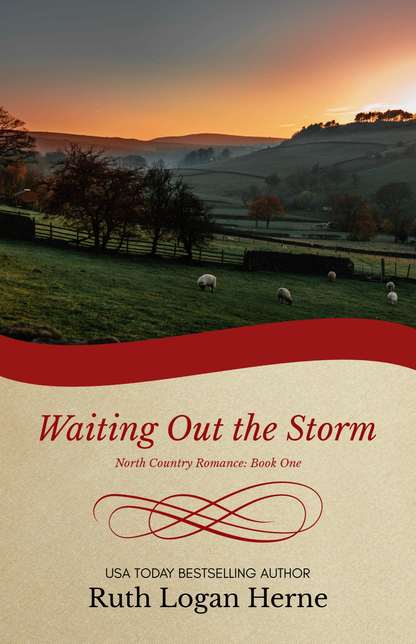 Waiting Out the Storm (North Country Romance #1)
