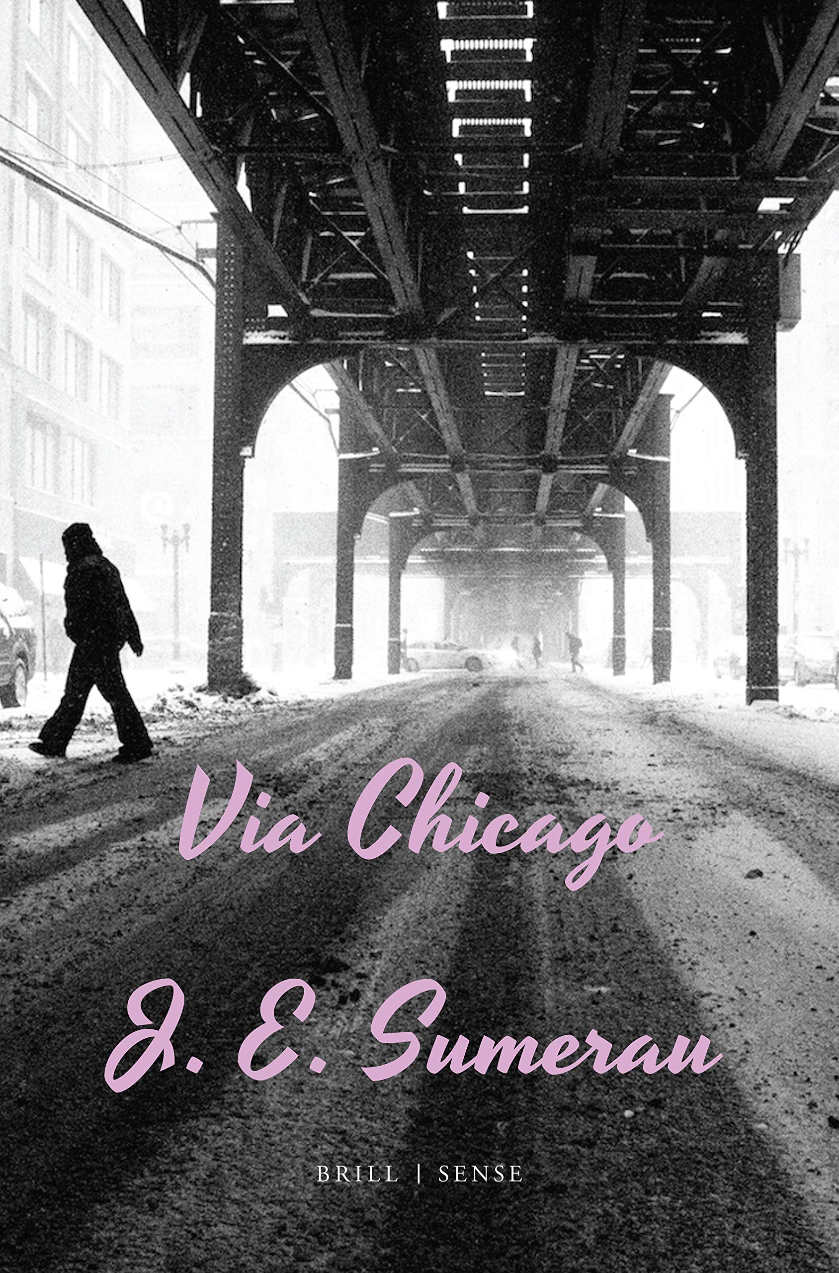 Via Chicago (Hardcover)