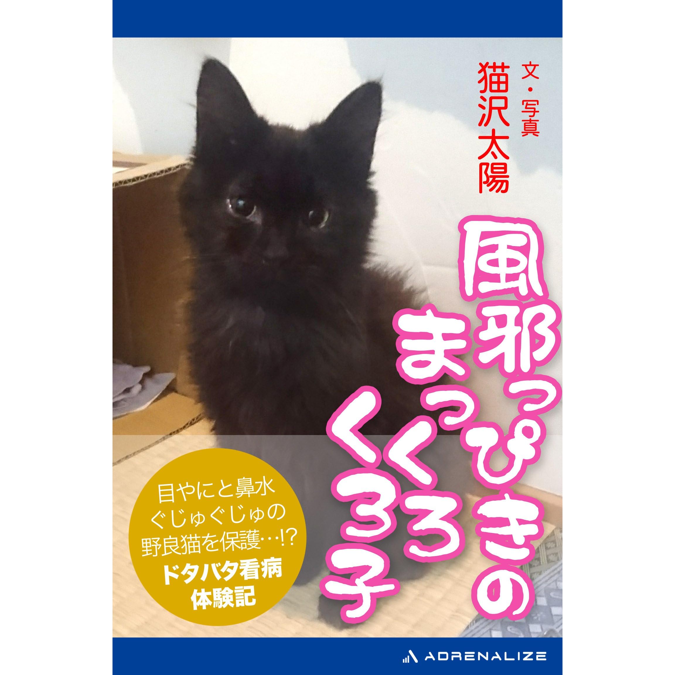 風邪っぴきのまっくろくろ子 By 猫沢 太陽